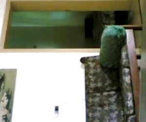 মোরগের উপর মা সিগারেট এবং বাংলাচুদা চুদি গৃহপালিত মোরগ উপর গুলি!